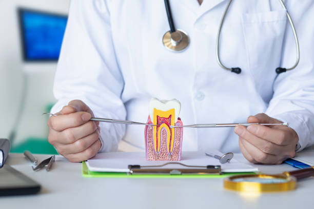 Best After-Hours Emergency Dentist in St Louis, MI